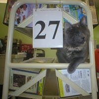 Nyx and Book Cart 27